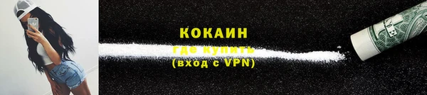 шишки Армянск
