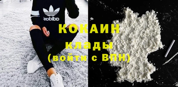 шишки Армянск