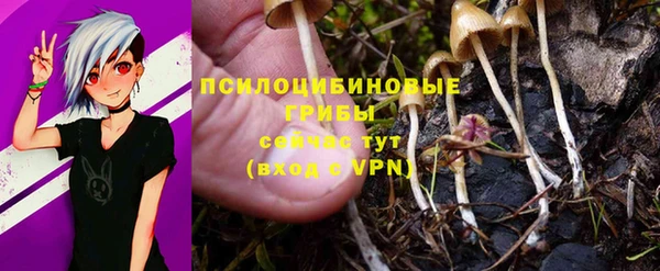 шишки Армянск