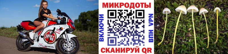 Псилоцибиновые грибы Psilocybe  хочу наркоту  Уяр 